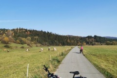 IMG_20201028_132311