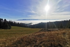 IMG_20201111_131211
