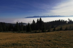IMG_20201111_134627