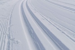 IMG_20201215_103111