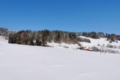 IMG_20210214_143213