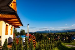 IMG_5388